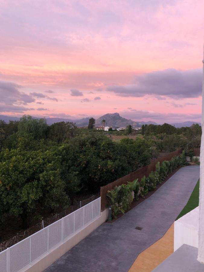 Sunny Apartment In Denia With Outdoor Swimming Pool And Garage Parking Place Included, 300M From The Sandy Beach Extérieur photo